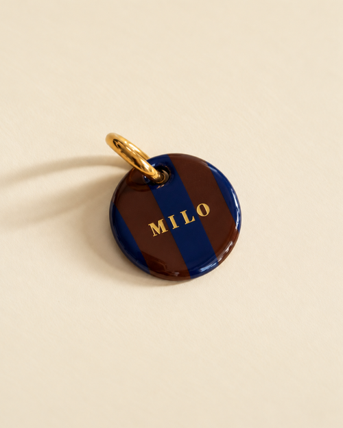 Médaille pour chien personnalisée After Work, rayures marron chocolat et bleu marine, prénom en lettres dorées
