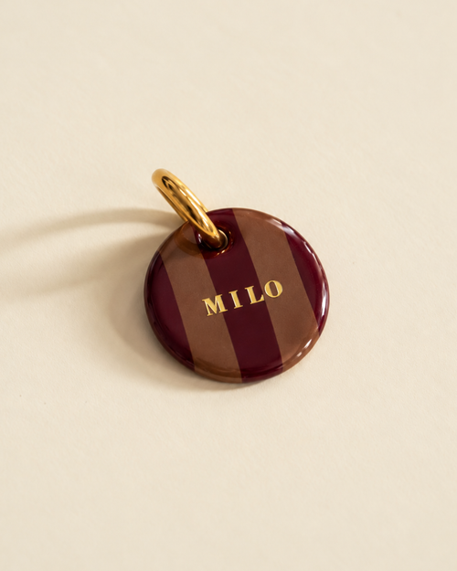 Médaille pour chien personnalisée Autumn Walk, rayures bordeaux et caramel, prénom en lettres dorées