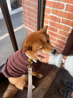 Cookie Break